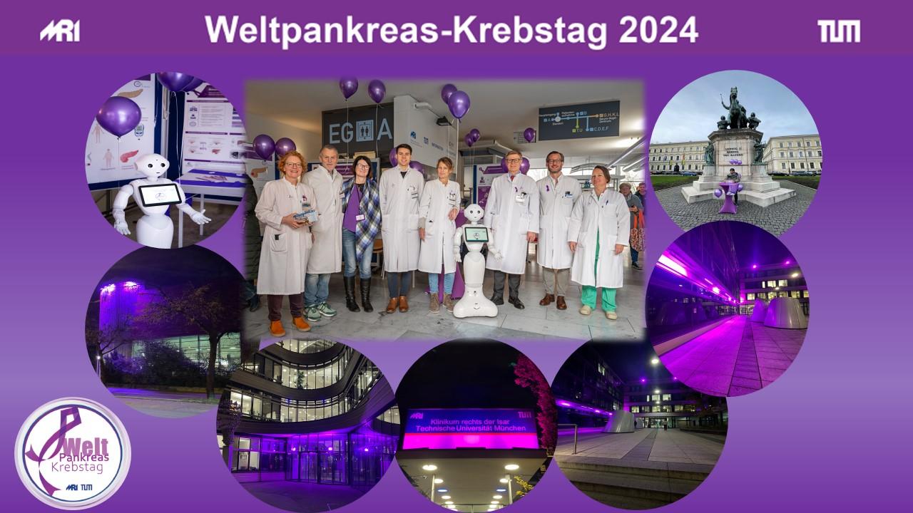 Poster Weltpankreaskrebstag Poster Weltpankreaskrebstag