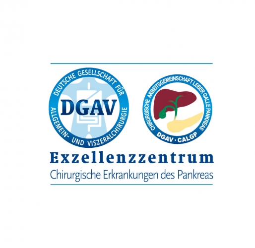 Logo dgav Excellenzzentrum Pankreas